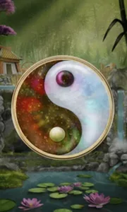 Panda Money